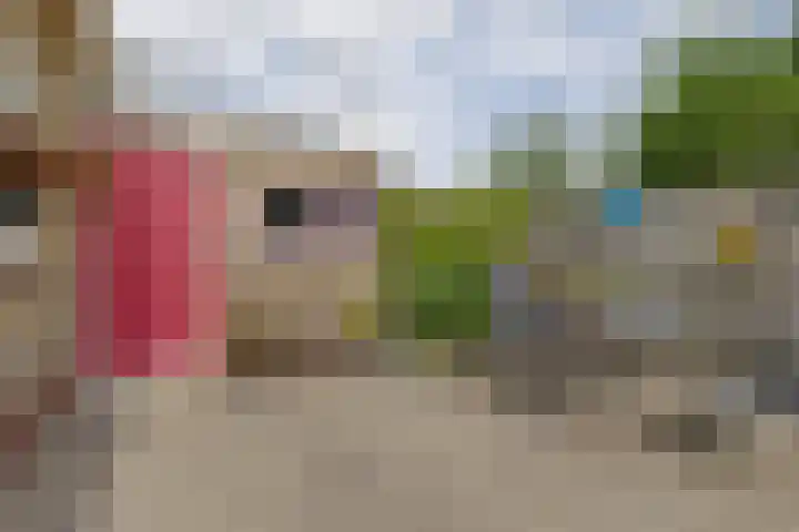 De Buorfinne 26 Easternijtsjerk thumbnail 29