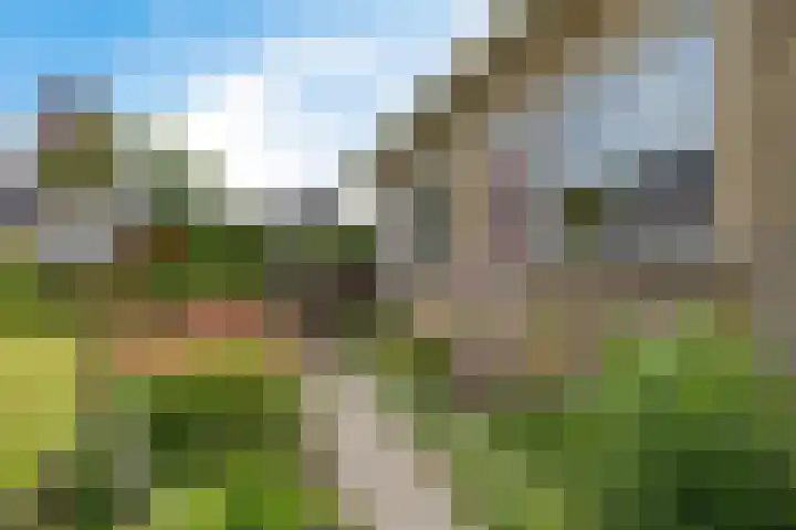 De Buorfinne 26 Easternijtsjerk thumbnail 30