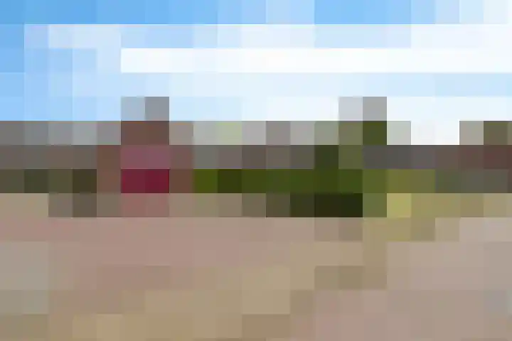 De Buorfinne 26 Easternijtsjerk thumbnail 36
