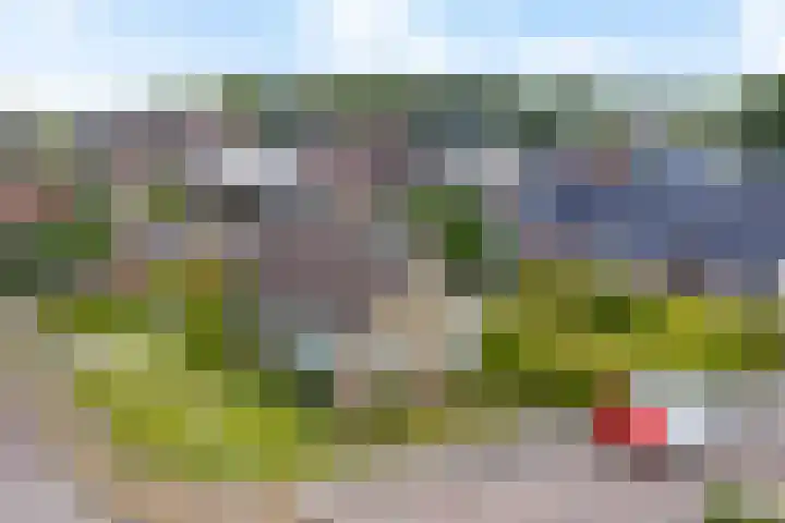 De Buorfinne 26 Easternijtsjerk thumbnail 37
