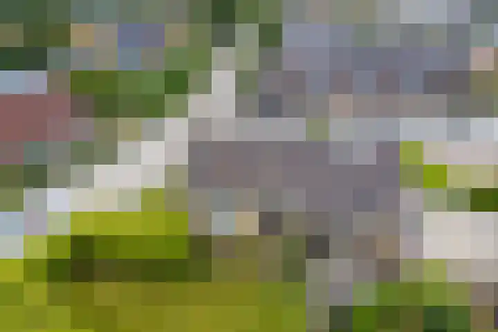 De Buorfinne 26 Easternijtsjerk thumbnail 38