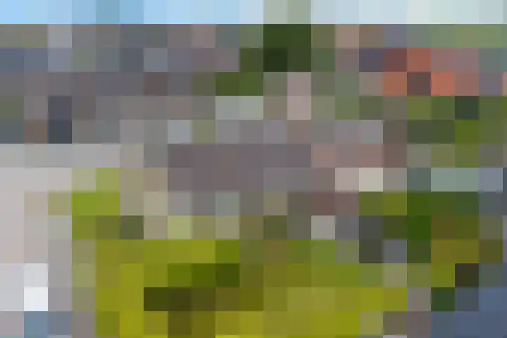 De Buorfinne 26 Easternijtsjerk thumbnail 39