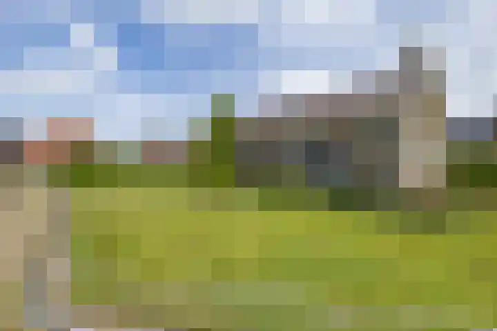 De Buorfinne 26 Easternijtsjerk thumbnail 40