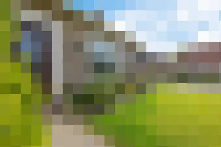 De Buorfinne 26 Easternijtsjerk thumbnail 42