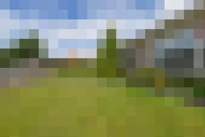 De Buorfinne 26 Easternijtsjerk thumbnail 43