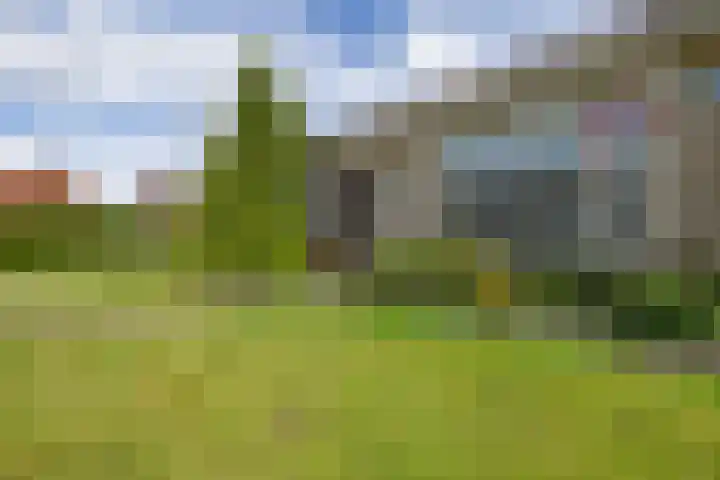 De Buorfinne 26 Easternijtsjerk thumbnail 44