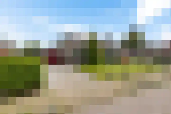 De Buorfinne 26 Easternijtsjerk thumbnail 45