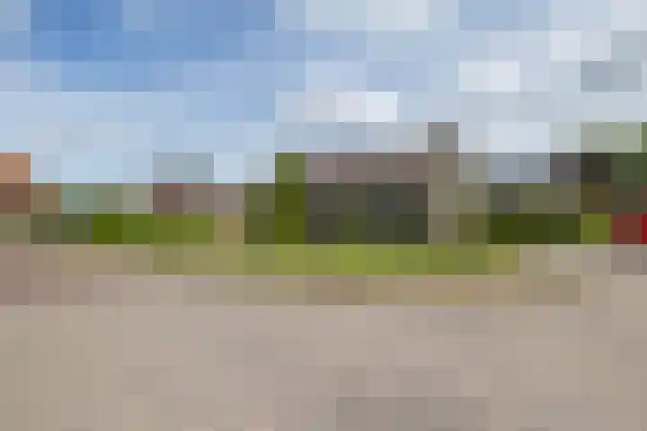 De Buorfinne 26 Easternijtsjerk thumbnail 46