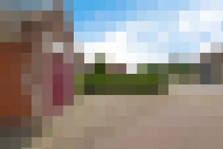 De Buorfinne 26 Easternijtsjerk thumbnail 47