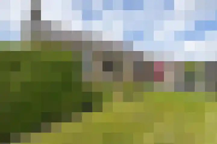 De Buorfinne 26 Easternijtsjerk thumbnail 5