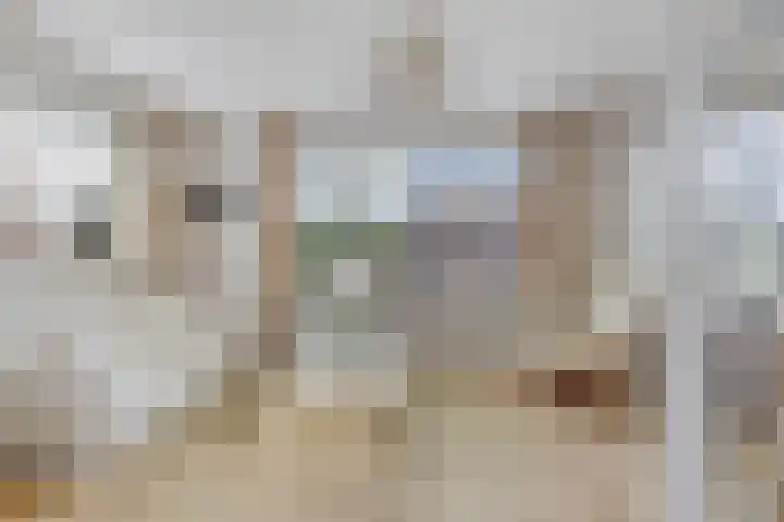 De Buorfinne 26 Easternijtsjerk thumbnail 8