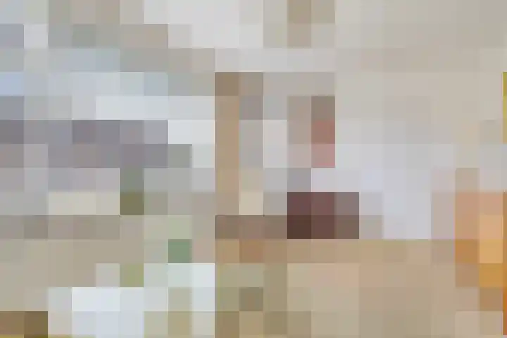 De Buorfinne 26 Easternijtsjerk thumbnail 9