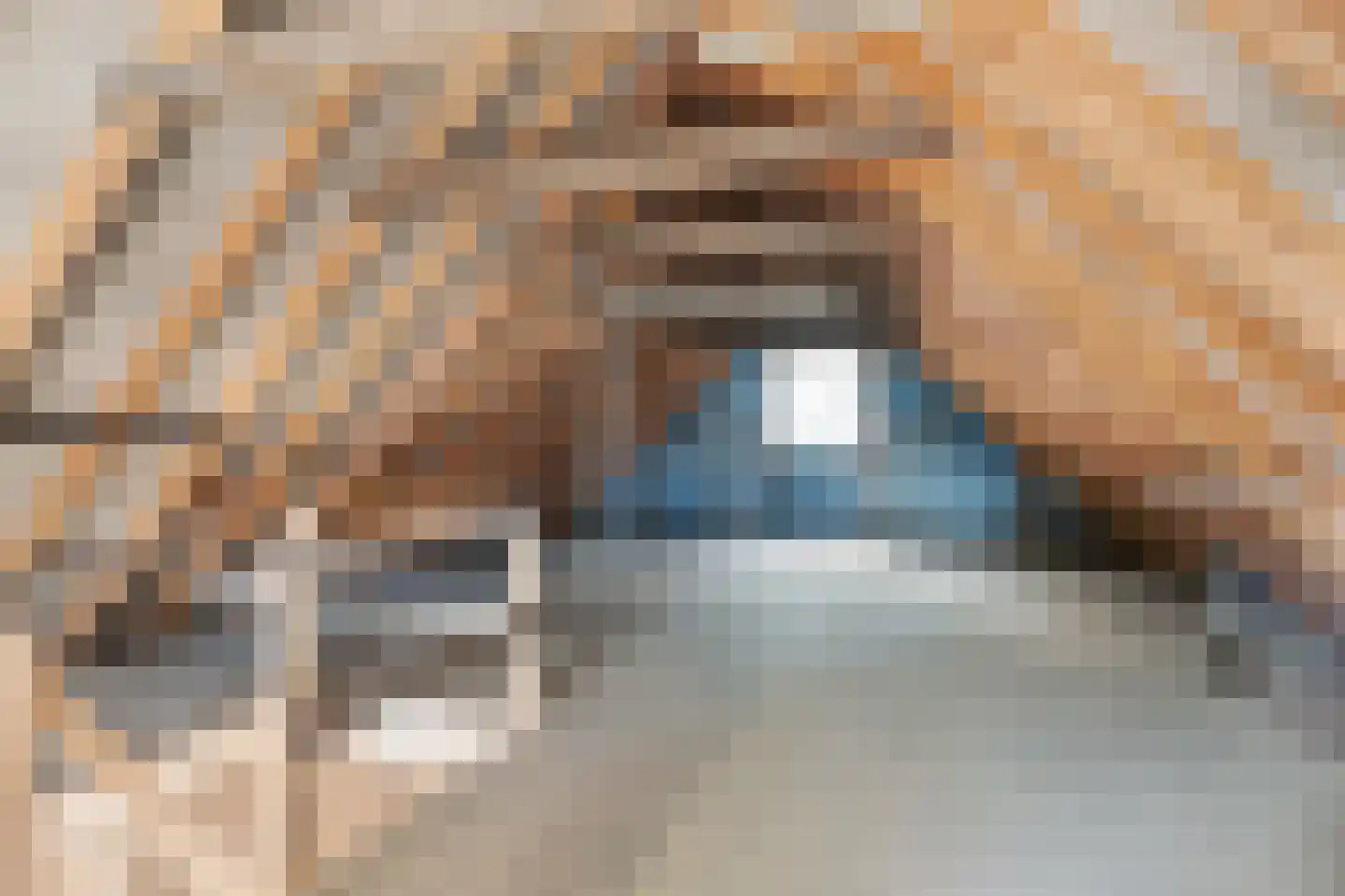 De Buorfinne 32 Easternijtsjerk thumbnail 39
