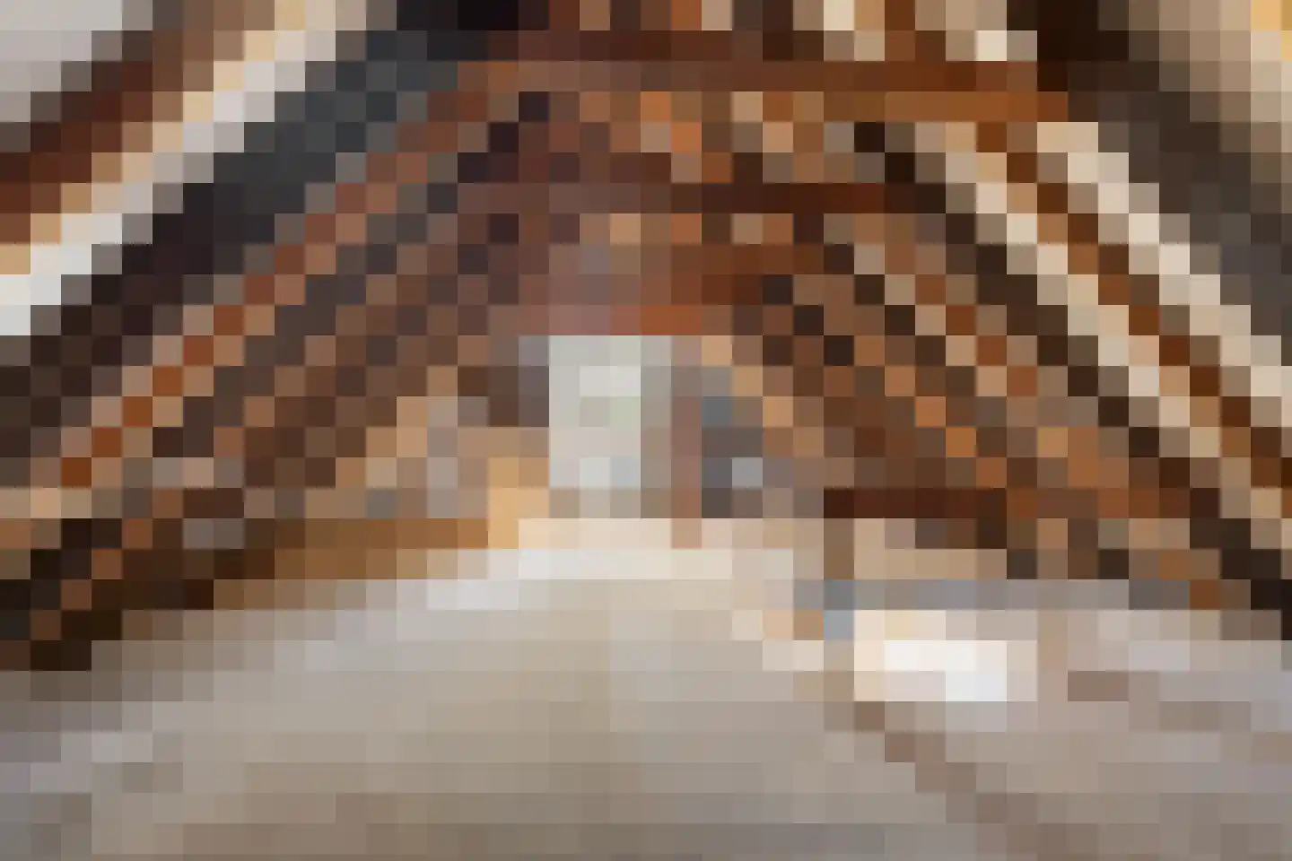 De Buorfinne 32 Easternijtsjerk thumbnail 40