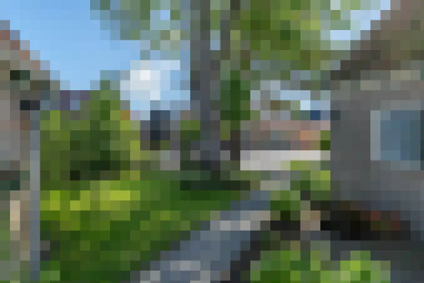 De Buorfinne 32 Easternijtsjerk thumbnail 41