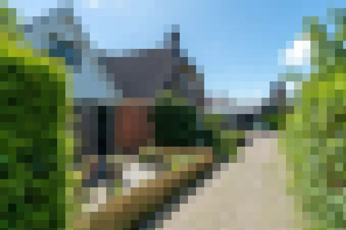 De Buorfinne 32 Easternijtsjerk thumbnail 9