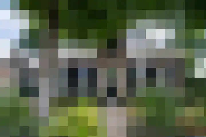 De Buorren 10 Wânswert thumbnail 100