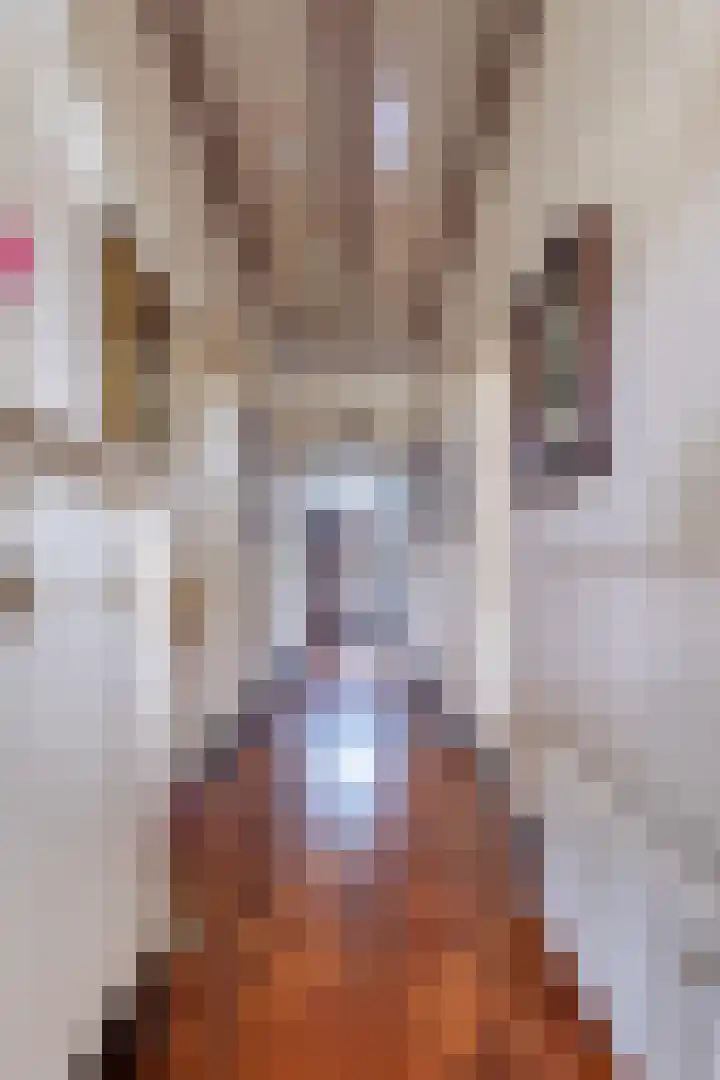 De Buorren 10 Wânswert thumbnail 12