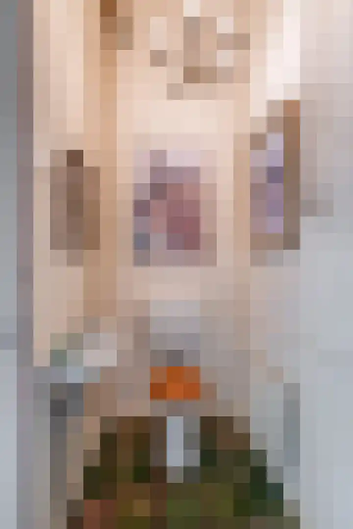 De Buorren 10 Wânswert thumbnail 13