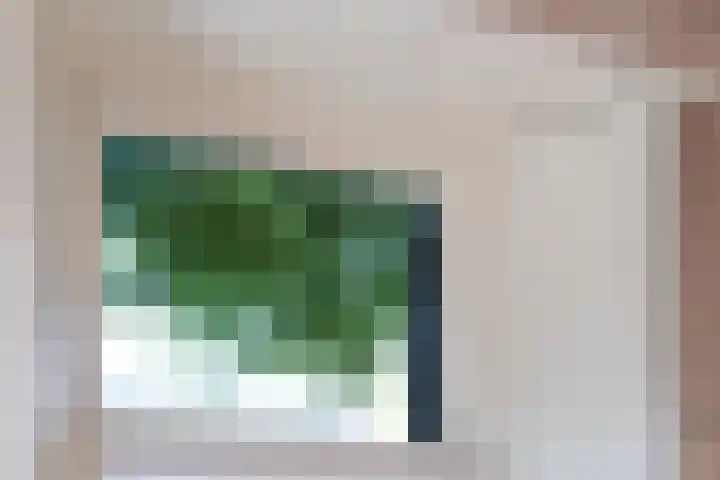 De Buorren 10 Wânswert thumbnail 15