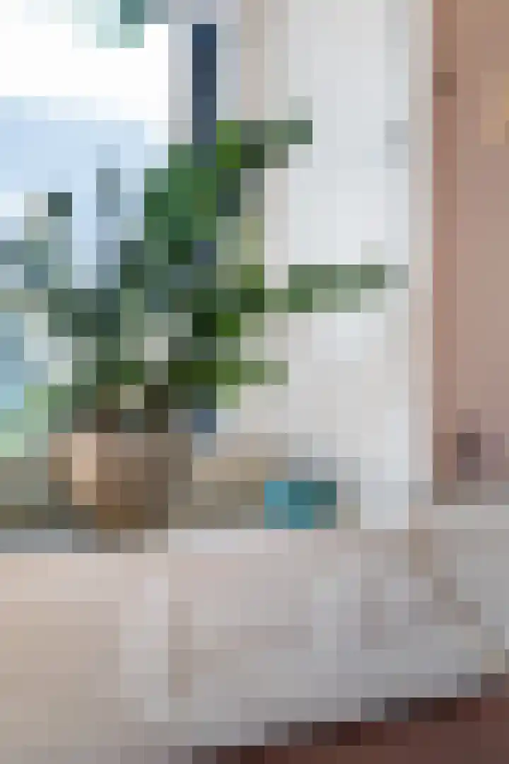 De Buorren 10 Wânswert thumbnail 16