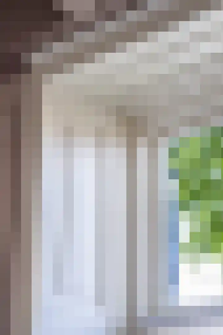 De Buorren 10 Wânswert thumbnail 17
