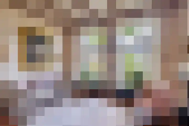 De Buorren 10 Wânswert thumbnail 22