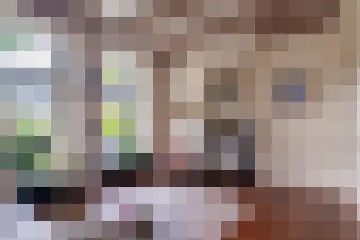 De Buorren 10 Wânswert thumbnail 23
