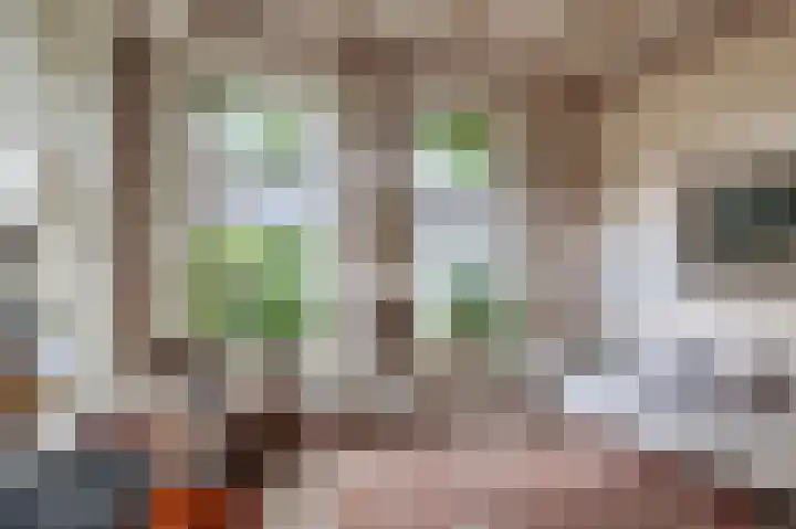 De Buorren 10 Wânswert thumbnail 25