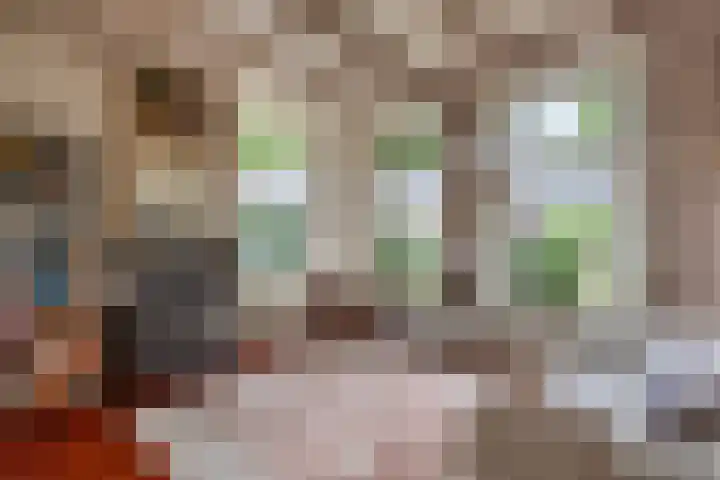 De Buorren 10 Wânswert thumbnail 26