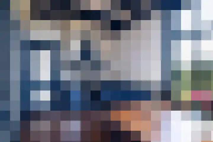 De Buorren 10 Wânswert thumbnail 31