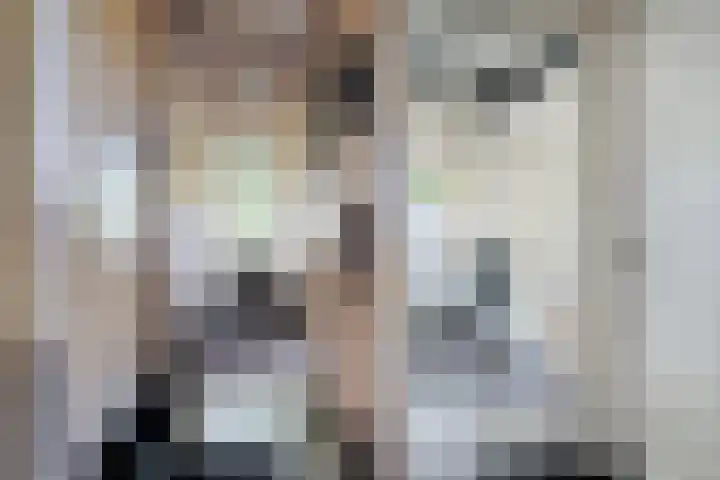 De Buorren 10 Wânswert thumbnail 33