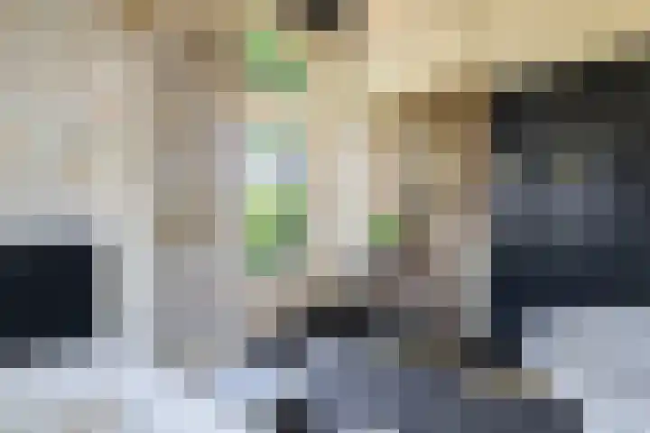 De Buorren 10 Wânswert thumbnail 34