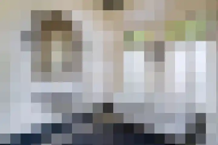 De Buorren 10 Wânswert thumbnail 35