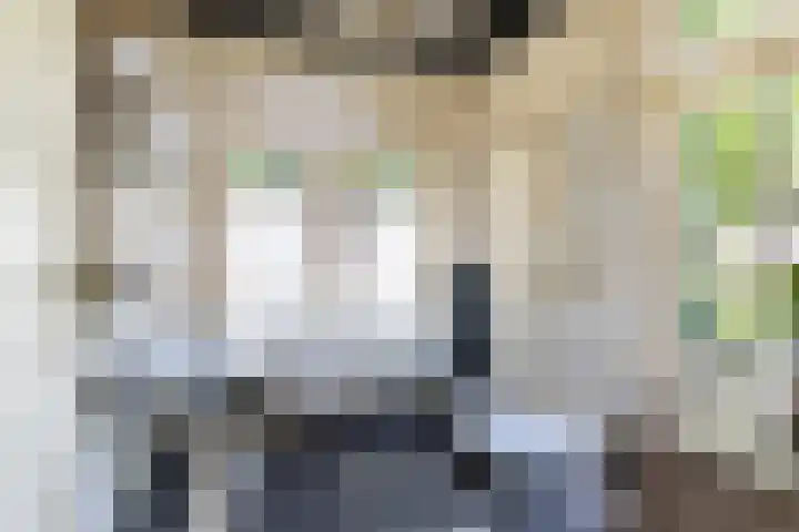 De Buorren 10 Wânswert thumbnail 36
