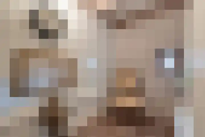 De Buorren 10 Wânswert thumbnail 38