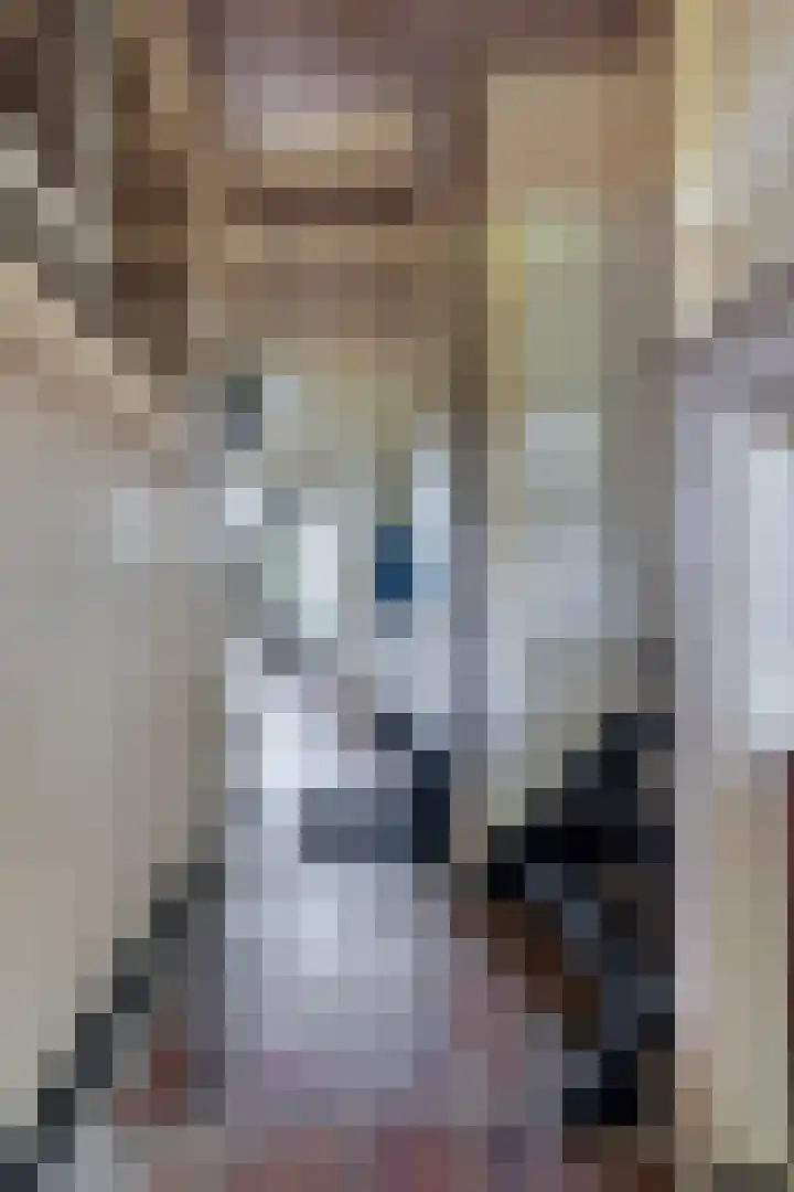 De Buorren 10 Wânswert thumbnail 41
