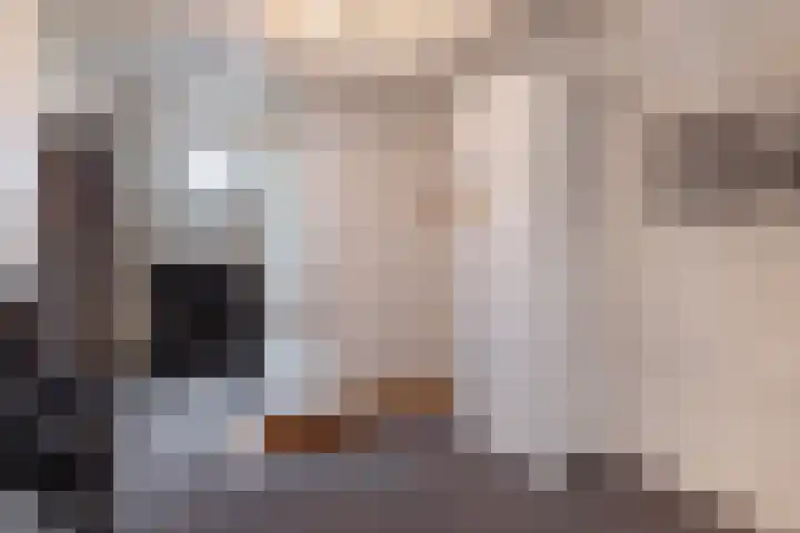 De Buorren 10 Wânswert thumbnail 43