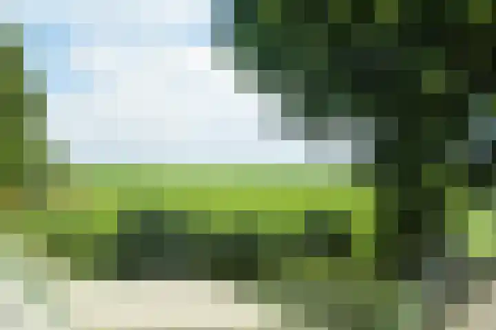 De Buorren 10 Wânswert thumbnail 44