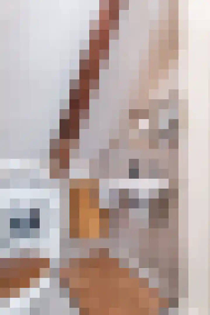 De Buorren 10 Wânswert thumbnail 57