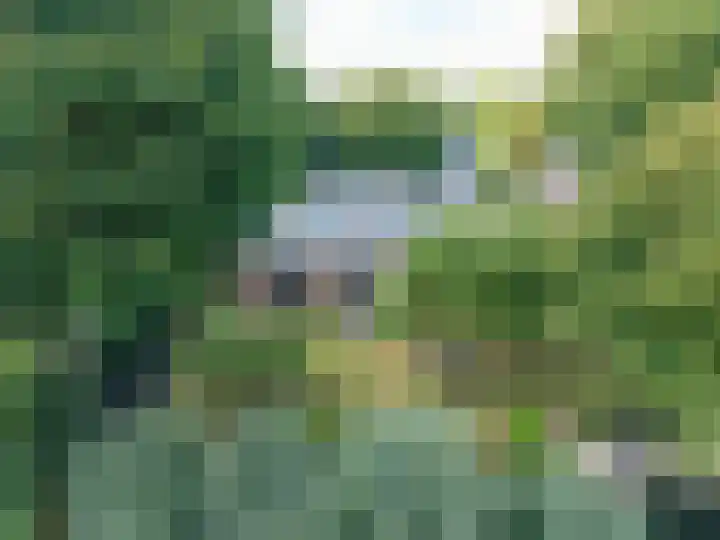 De Buorren 10 Wânswert thumbnail 60