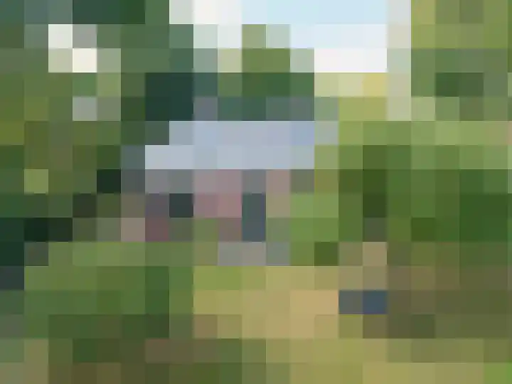 De Buorren 10 Wânswert thumbnail 61