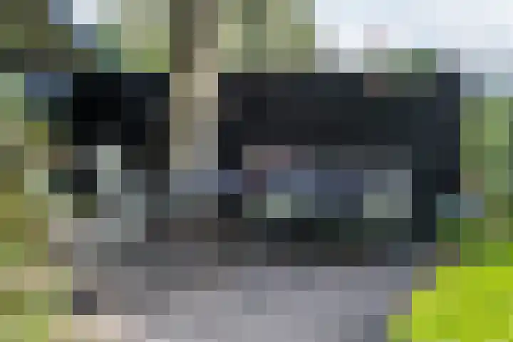 De Buorren 10 Wânswert thumbnail 62
