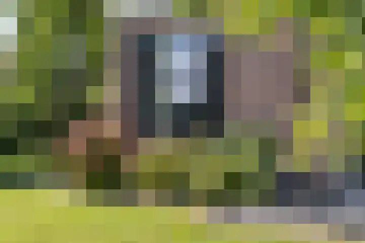 De Buorren 10 Wânswert thumbnail 63