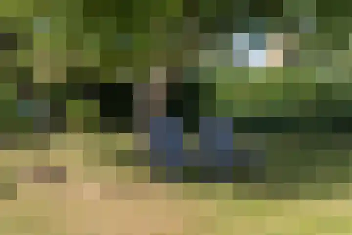 De Buorren 10 Wânswert thumbnail 64