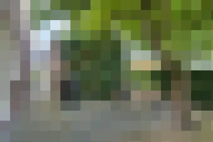 De Buorren 10 Wânswert thumbnail 65