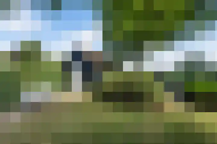 De Buorren 10 Wânswert thumbnail 66