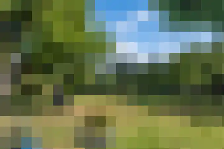 De Buorren 10 Wânswert thumbnail 67