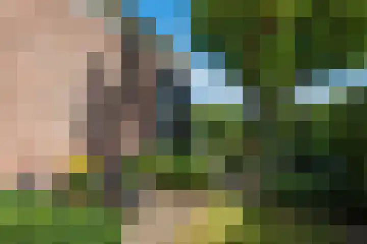 De Buorren 10 Wânswert thumbnail 68