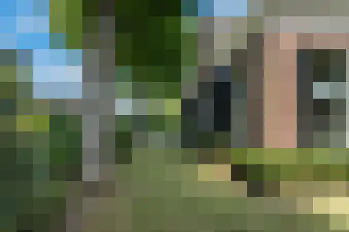 De Buorren 10 Wânswert thumbnail 69